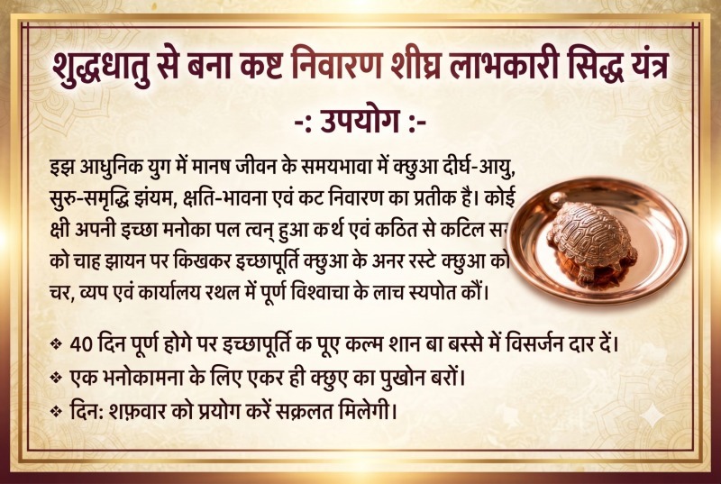 Shastra Siddhi - Panchaloha Wish-Fulfilling Vastu Kachua For Success & Prosperity